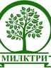 Илья Васин