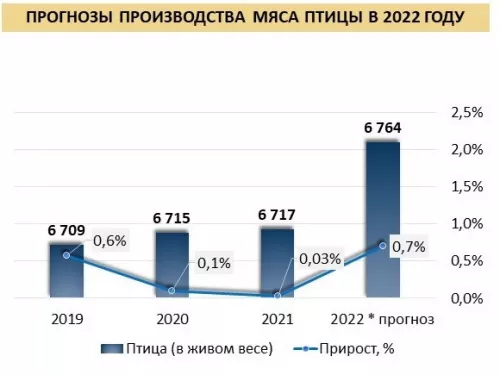 Meatinfo прогнозирует рост мясного производства по итогам 2022 года