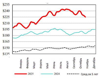 США: Обзор рынка КРС за 47 неделю от 24 ноября 2025 года