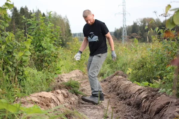 Иллюстрация новости