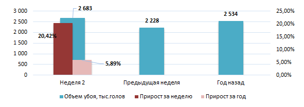 США: Обзор рынка свиней за 2 неделю от 12 января 2026 года
