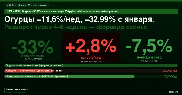 Огурцы продолжают падать: когда развернётся рынок и что делать прямо сейчас