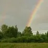 или сдам земельный участок 20га в Мосальске 7