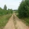 или сдам земельный участок 20га в Мосальске 11