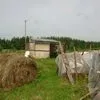 или сдам земельный участок 20га в Мосальске 3