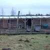 или сдам земельный участок 20га в Мосальске