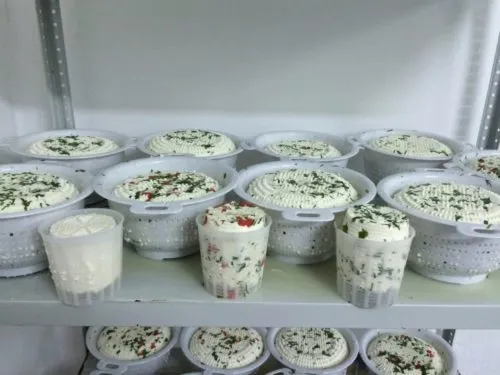 сыр молодой в Рязани 3