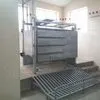 линия убоя КРС  и свиней в Москве 3
