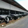 вентиляционные шторы Agrotel WSS1 в Краснодаре 2