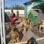 утилизация продуктов питания, возвраты в Санкт-Петербурге и Ленинградской области 4