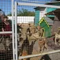 утилизация продуктов питания, возвраты в Санкт-Петербурге и Ленинградской области 3