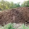 навоз конский и коровий, опилки в Павловском Посаде 2