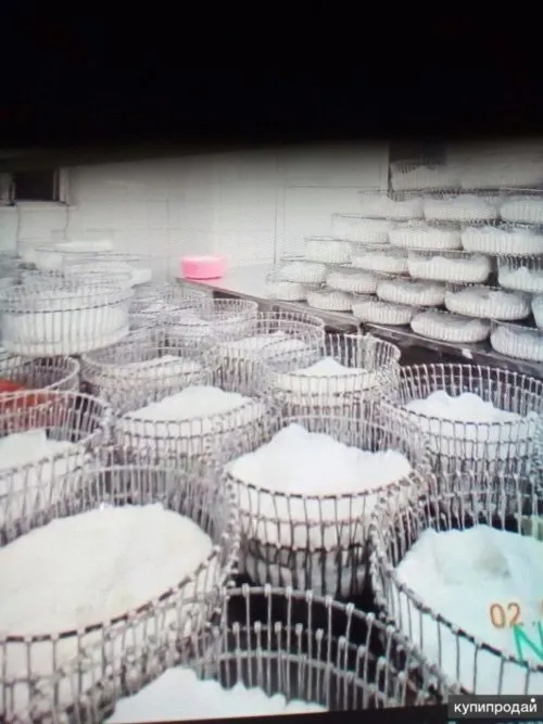 молочные продукты  в Рязани 7