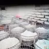 молочные продукты  в Рязани 7