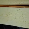 сырный продукт оптом в Москве 18