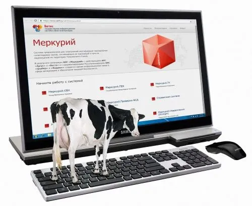 Фотография продукта Автоматизация ФГИС Меркурий на молзаводе