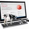 внедрение Партионного учёта для Меркурий в Москве