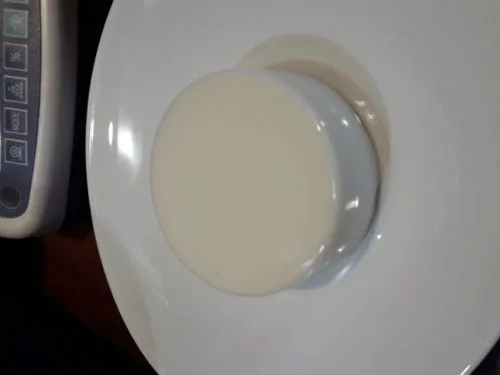 стаб БиоЖель 10 для муссов и пудингов в Москве 7