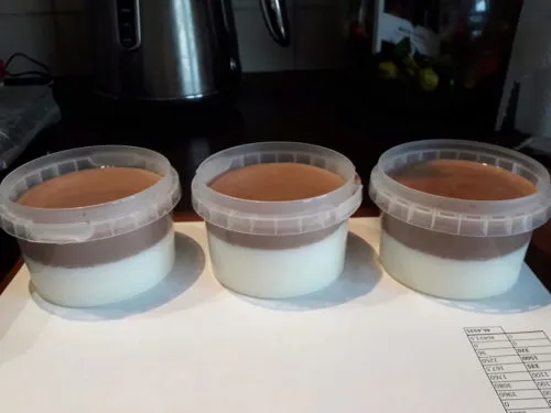 стаб БиоЖель 10 для муссов и пудингов в Москве 2