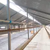 молокопровод в Ижевске 2