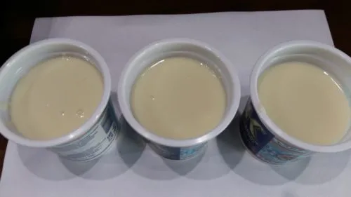 стаб Биогель 05 для творожков и сгущенки в Москве 5