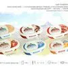 сыр плавл.в ассорт. жир.30-60% в Республике Беларусь 2