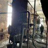 печь в Новосибирске
