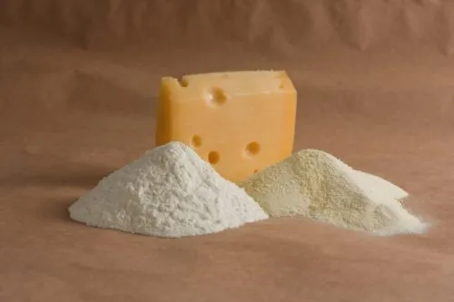 фотография продукта Сыворотка молочная сухая подсырная