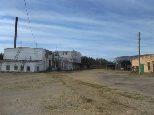 камешкирский сырзавод в Пензе и Пензенской области 3