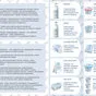 сыр и продукция из козьего молока в Королеве