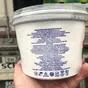 сливочный Крем-Чиз 75% 