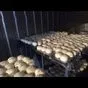 сыр в Курганинске 4