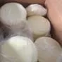 сыр в Курганинске