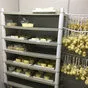 оборудование для сыроварения - под заказ в Симферополе 10