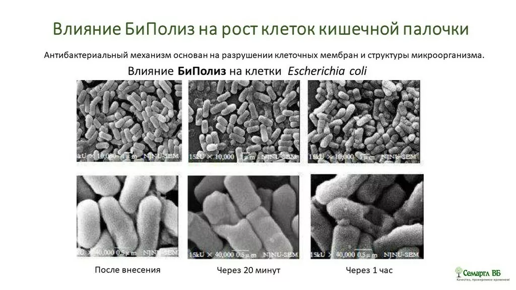 Фотография продукта Консервант без е-кода против кишечки 