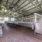  «Великобурлукский сыродельный завод» в Украине 6