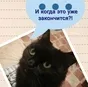 всю молочную продукцию. В г. Москву.  в Москве