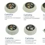сыр  в Ижевске и Удмуртской республике