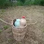 цельное молоко  в Нижнем Новгороде и Нижегородской области