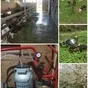 козье молоко оптом в Краснодаре и Краснодарском крае