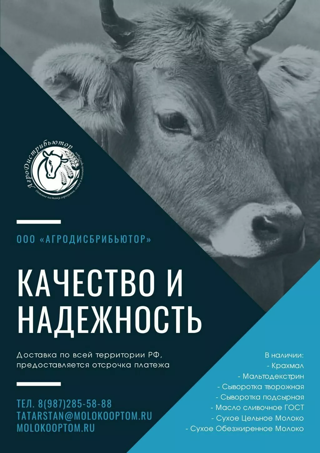 масло, СОМ, СЦМ, Сыворотка, Сыр, Творог в Казани и Республике Татарстан 3