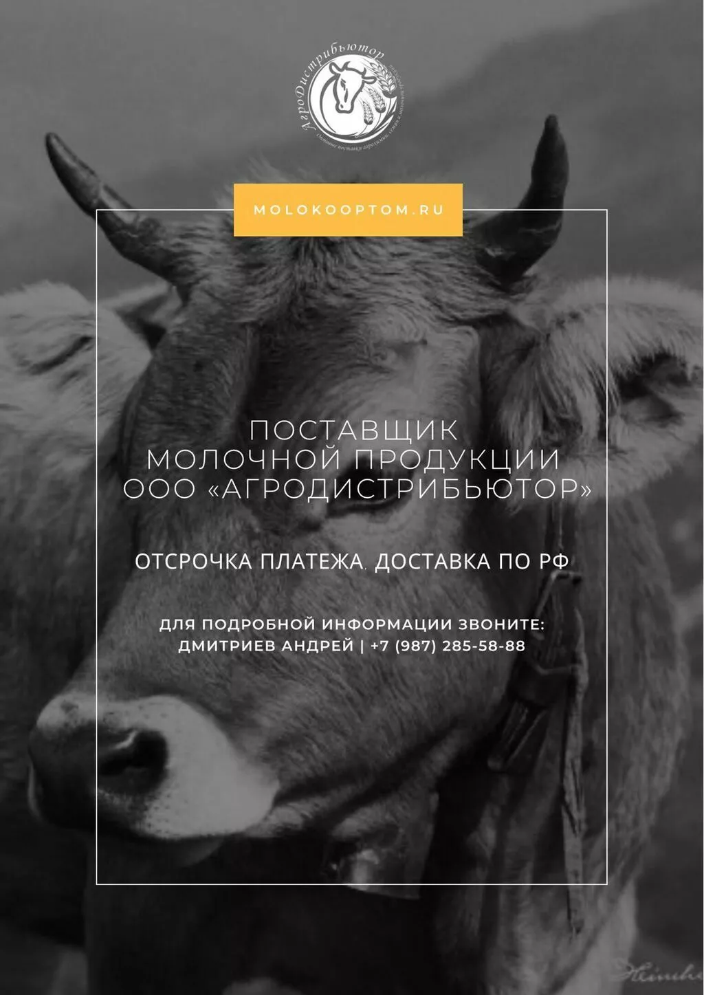 масло, СОМ, СЦМ, Сыворотка, Сыр, Творог в Казани и Республике Татарстан 2