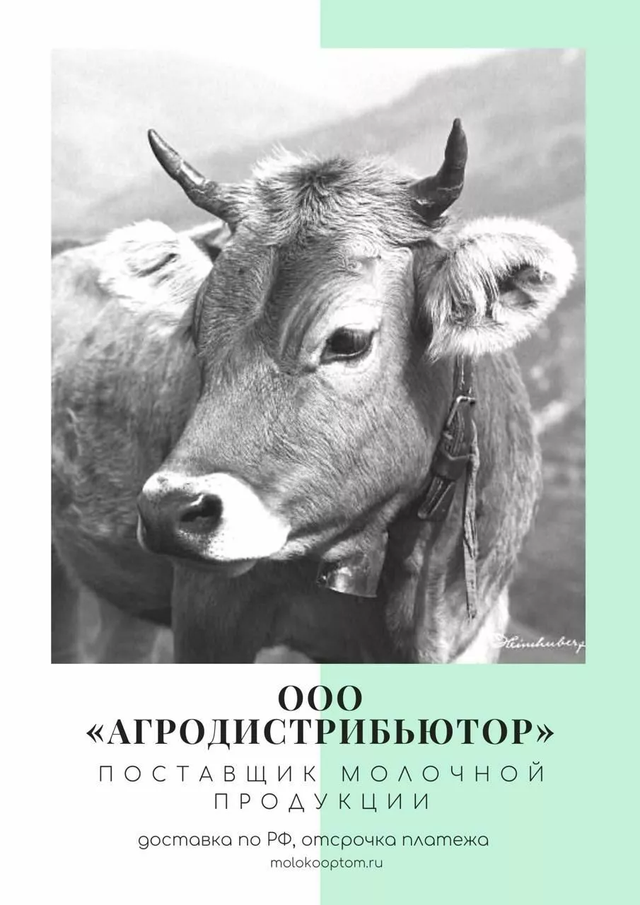 масло, СОМ, СЦМ, Сыворотка, Сыр, Творог в Казани и Республике Татарстан 4