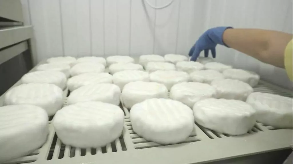 полки полипропиленовые для камамбера в Екатеринбурге и Свердловской области 4