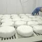 полки полипропиленовые для камамбера в Екатеринбурге и Свердловской области 4