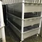 штабелируемые ванны для посола сыра  в Екатеринбурге и Свердловской области 5