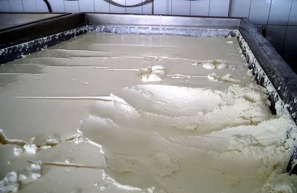 Фотография продукта Для увеличения выхода творога ГОСТ