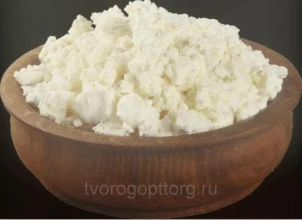фотография продукта Творог 9% для социального питания спб