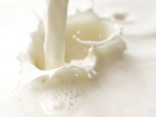 Фотография продукта Сливки наливом, жирность от 10 до 42%