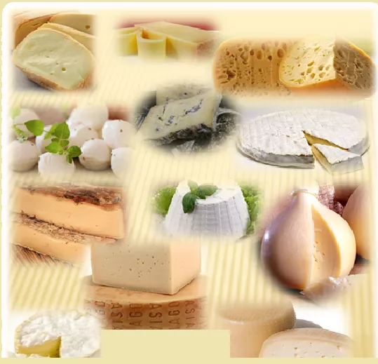 Фотография продукта Семинар по производству сыров